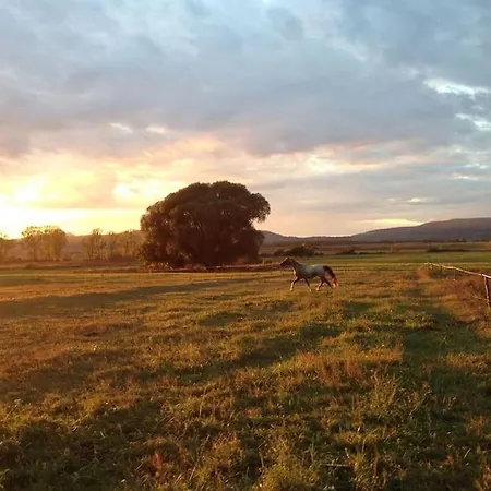 Naplemente A Kali Medenceben Kovagoors