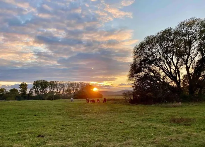 Naplemente A Kali Medenceben * Kovagoors