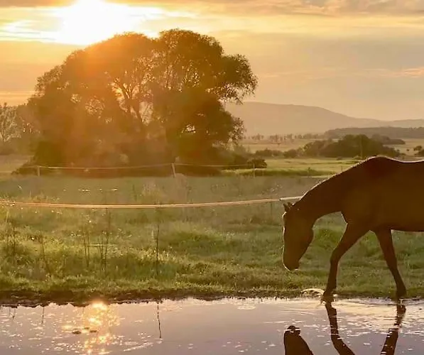 Naplemente A Kali Medenceben