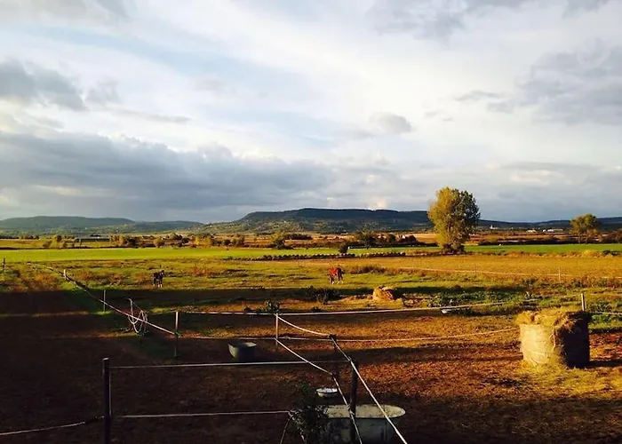 Naplemente A Kali Medenceben Kovagoors